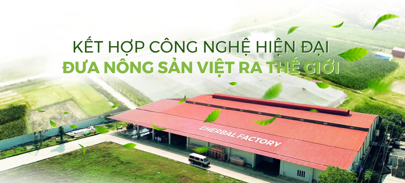 CÔNG TY CỔ PHẦN SẢN XUẤT VÀ THƯƠNG MẠI EHERBAL
