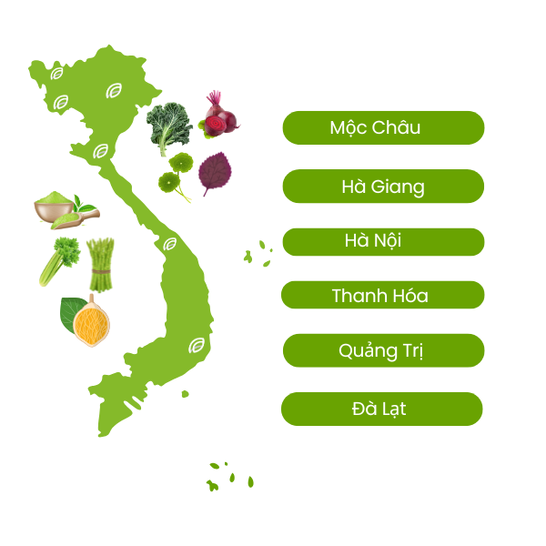 CÔNG TY CỔ PHẦN SẢN XUẤT VÀ THƯƠNG MẠI EHERBAL