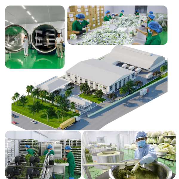 CÔNG TY CỔ PHẦN SẢN XUẤT VÀ THƯƠNG MẠI EHERBAL