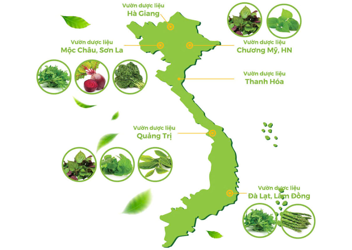 CÔNG TY CỔ PHẦN SẢN XUẤT VÀ THƯƠNG MẠI EHERBAL