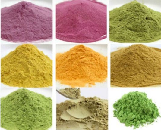 bột trái cây sấy lạnh